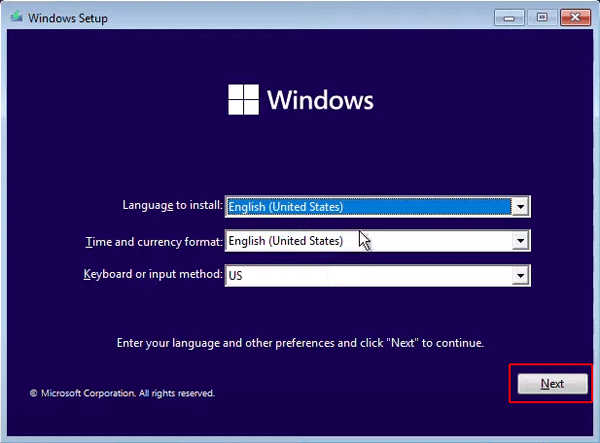 Finestra di installazione standard di Windows