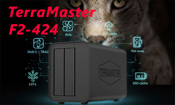 TerraMaster F2-424 2-Bay NAS Repair | Recover Files After Failure